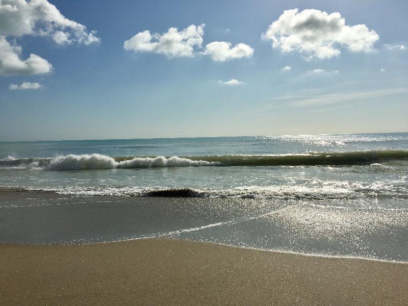 فندق Hollywood Beach Marriott المظهر الخارجي الصورة